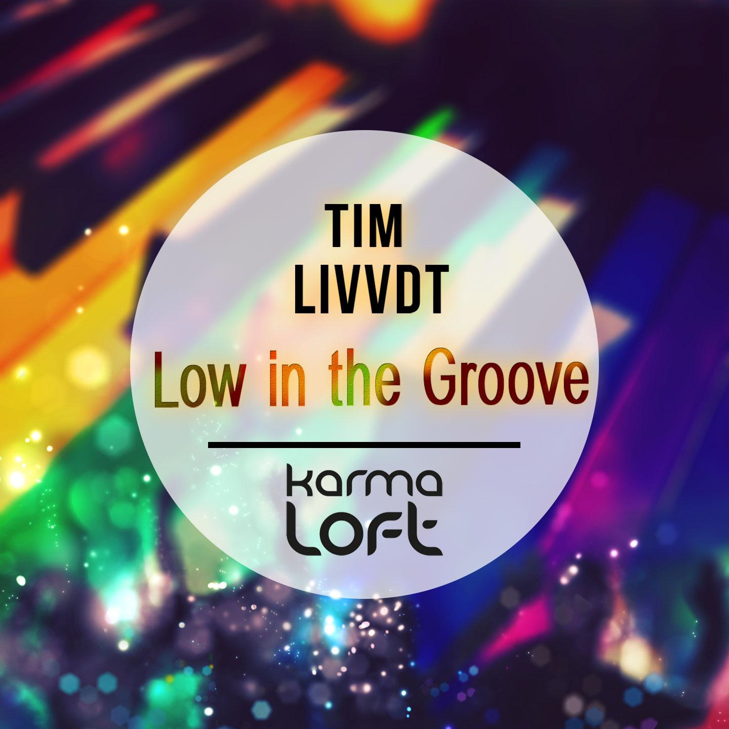 Постер альбома Low In The Groove