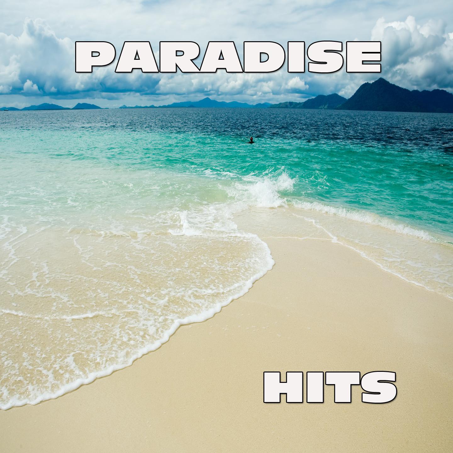 Постер альбома Paradise Hits