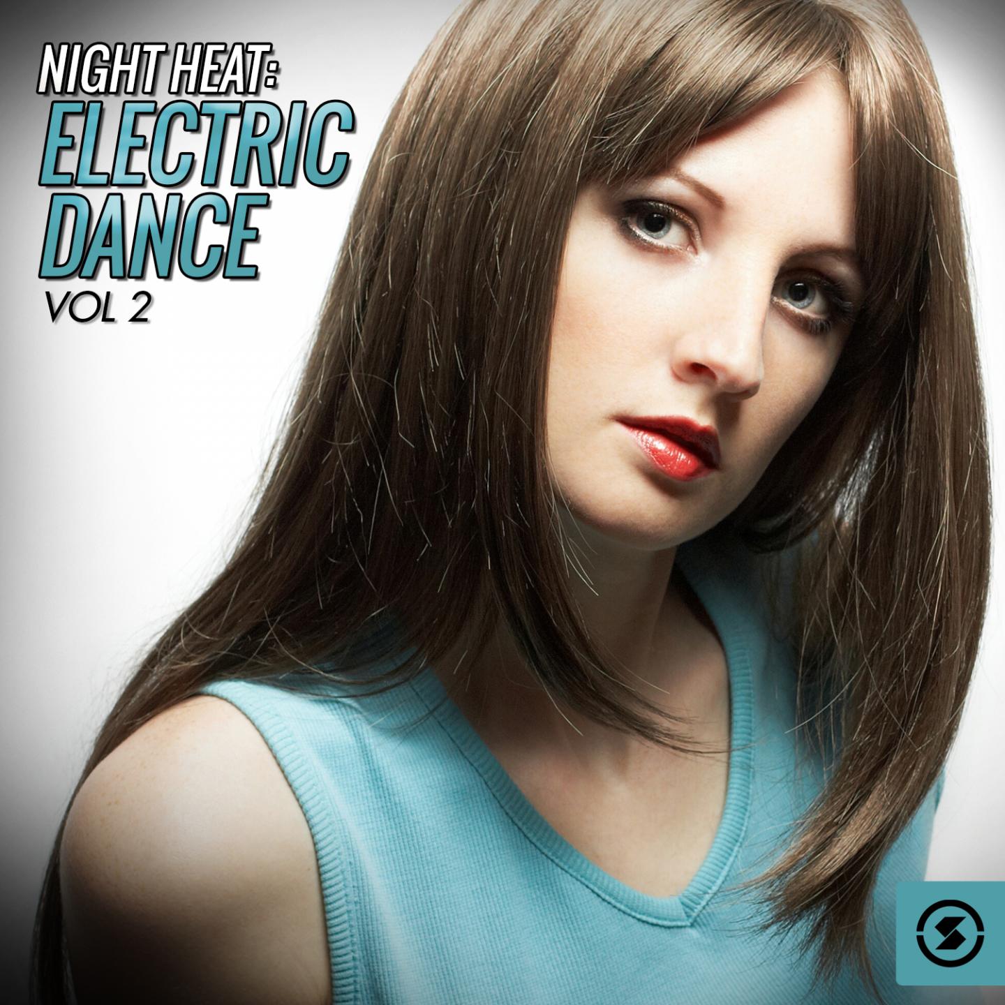 Постер альбома Night Heat: Electric Dance, Vol. 2