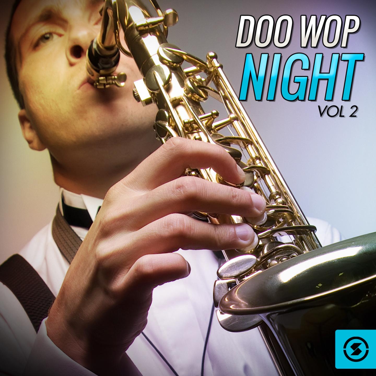 Постер альбома Doo Wop Night, Vol. 2