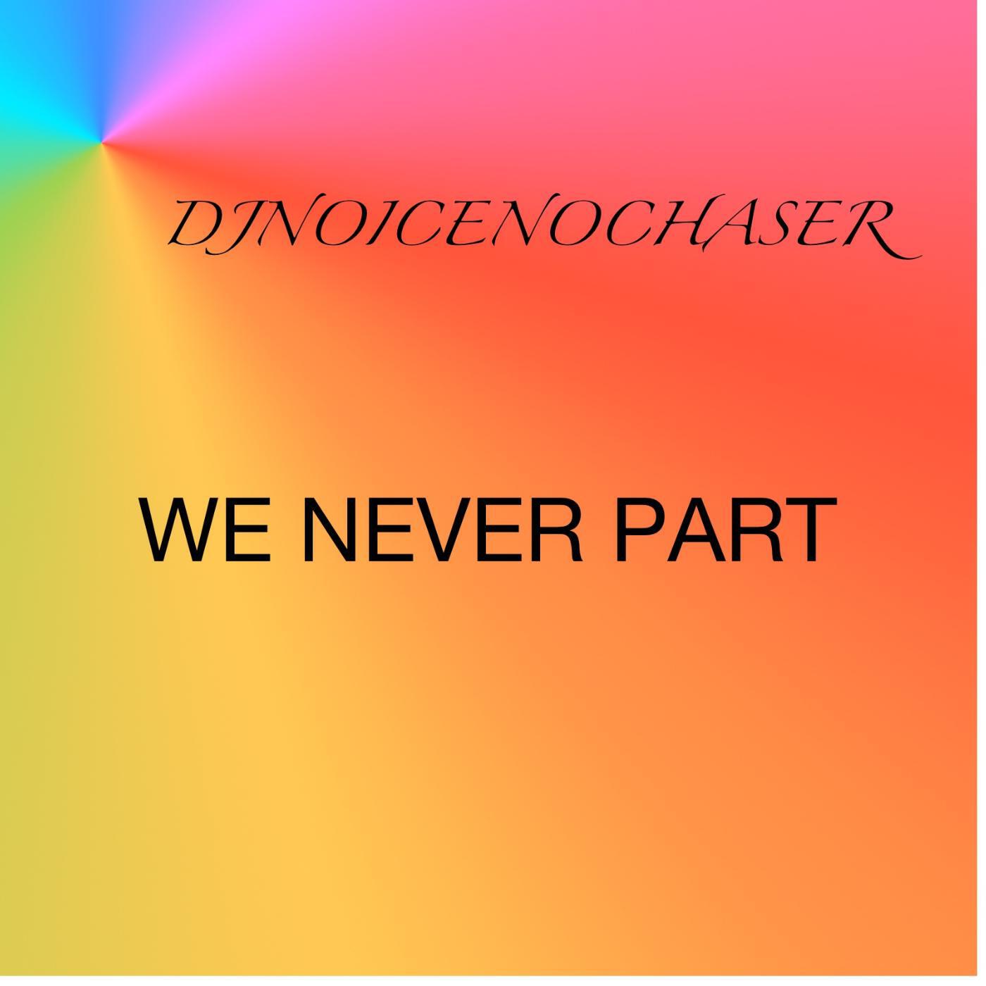 DJNOICENOCHASER - We Never Part