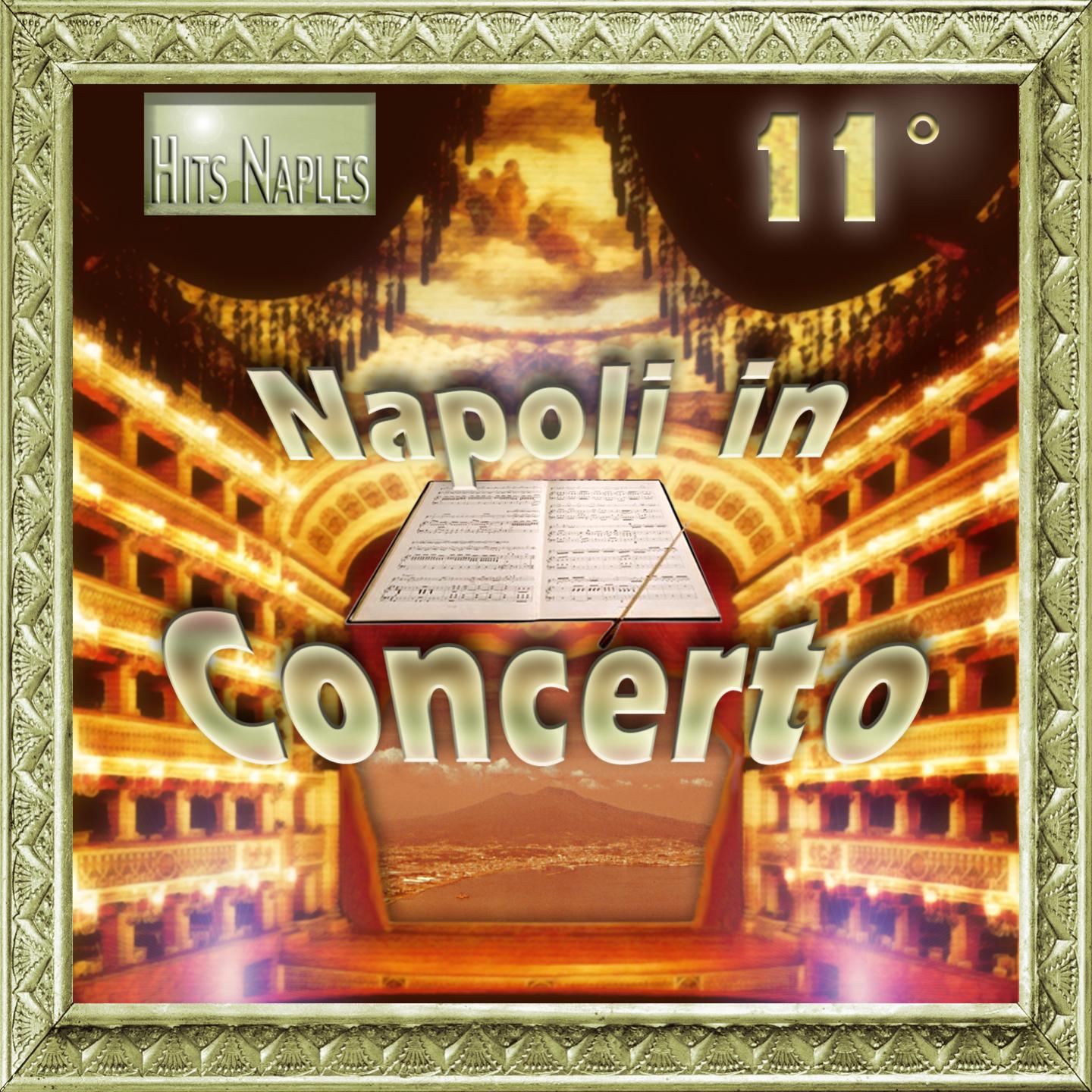 Постер альбома Napoli in concerto, Vol. 11