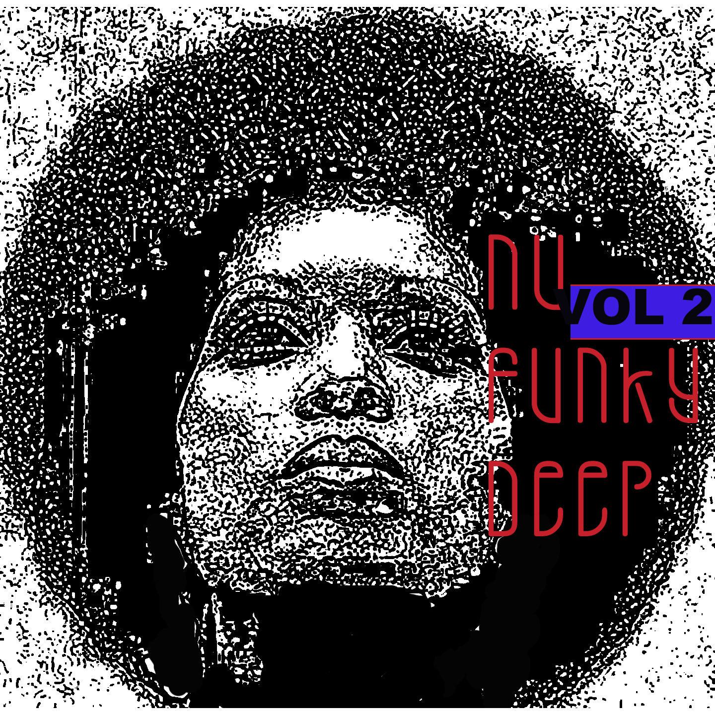 Постер альбома Nu Funky Deep, Vol. 2