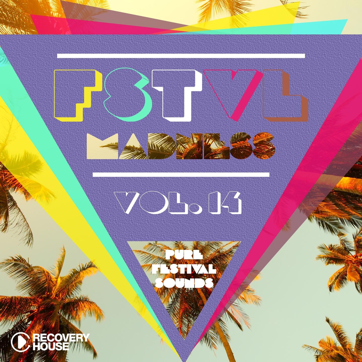 Постер альбома FSTVL Madness, Vol. 14 - Pure Festival Sounds
