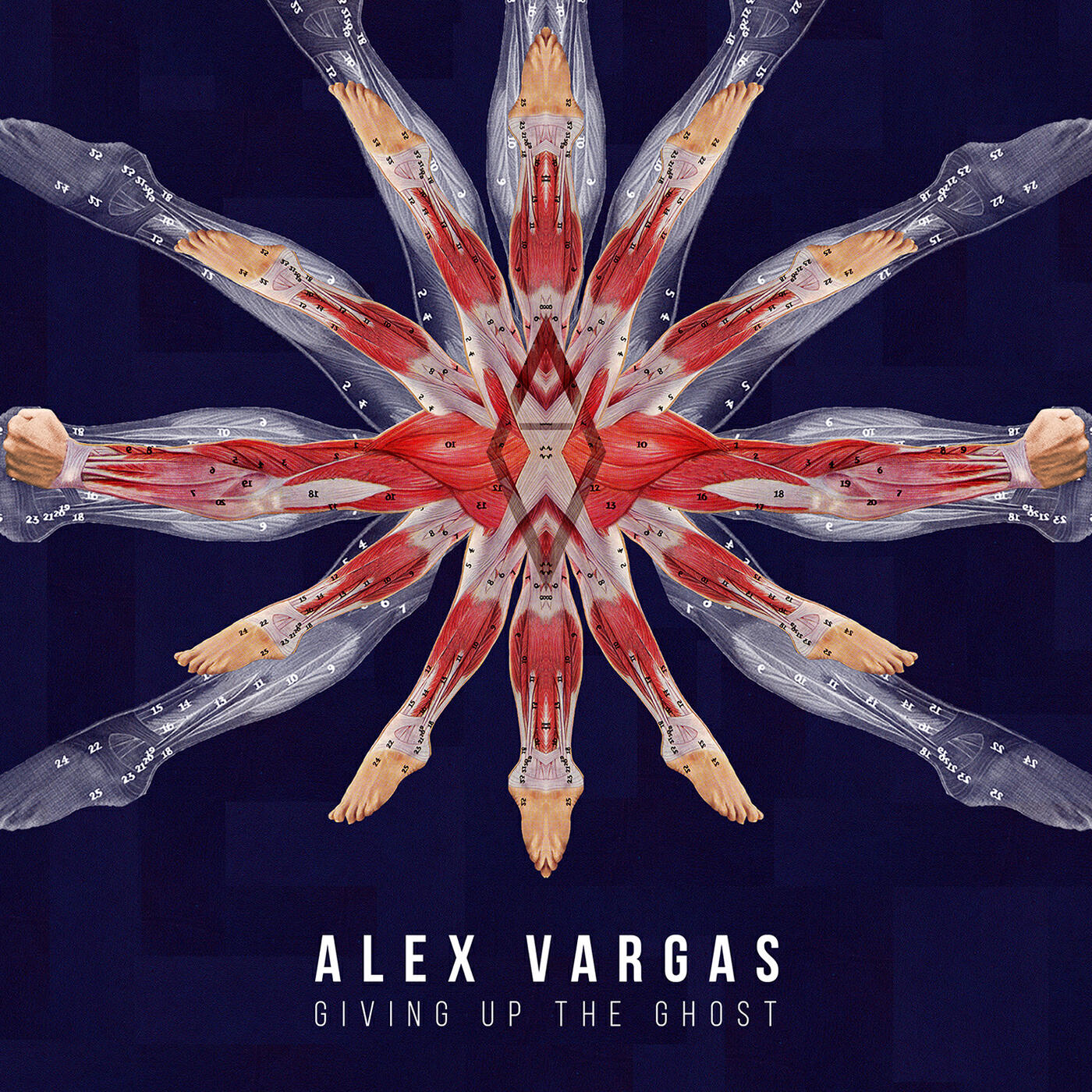 Alex Vargas - Shackled Up