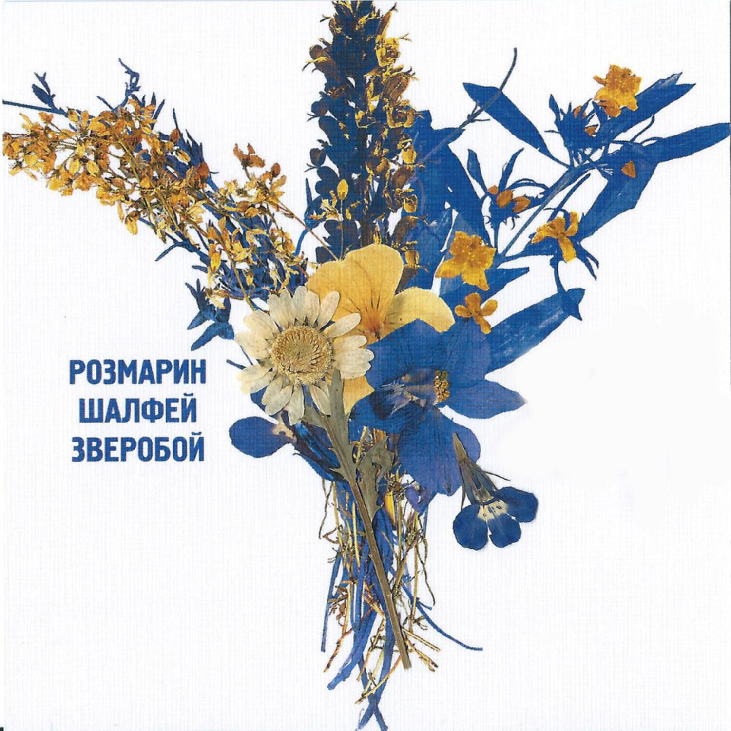 Елена Фролова - Моцарт