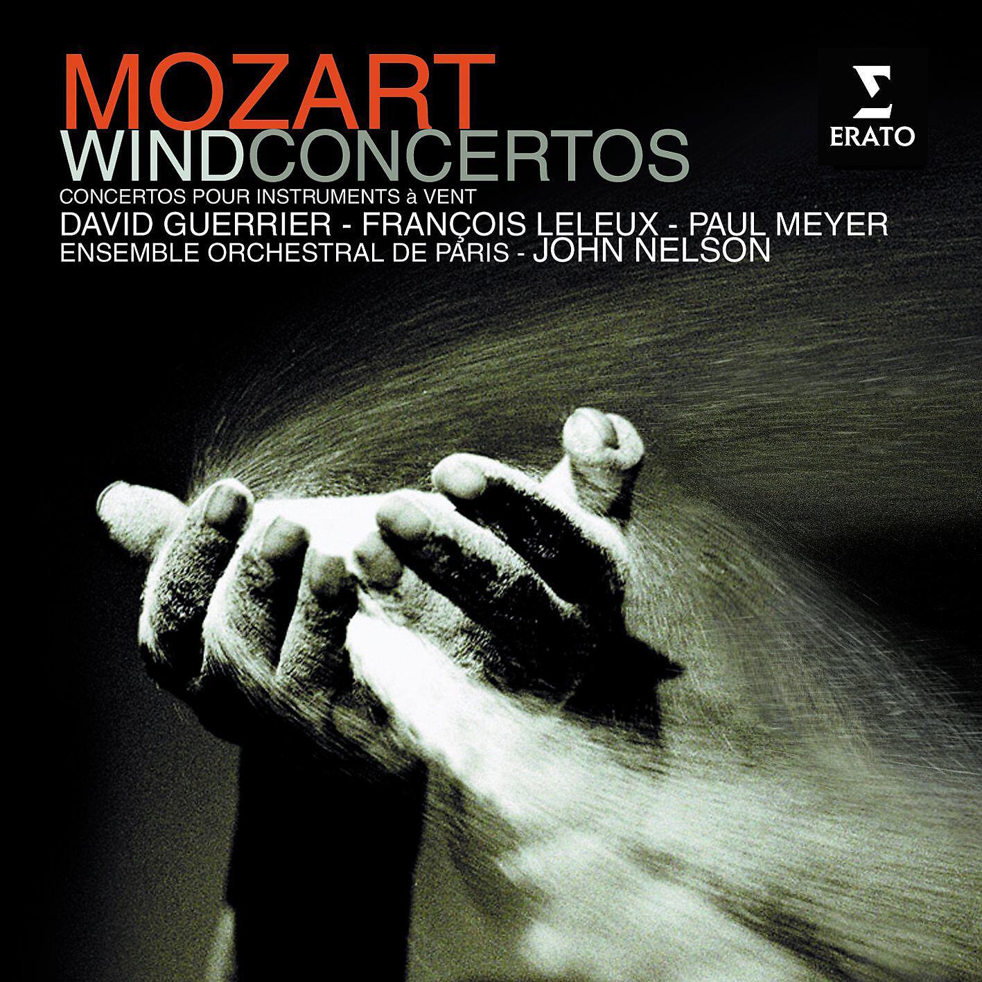 David Guerrier - Trumpet Concerto in D Major: II. Allegro moderato