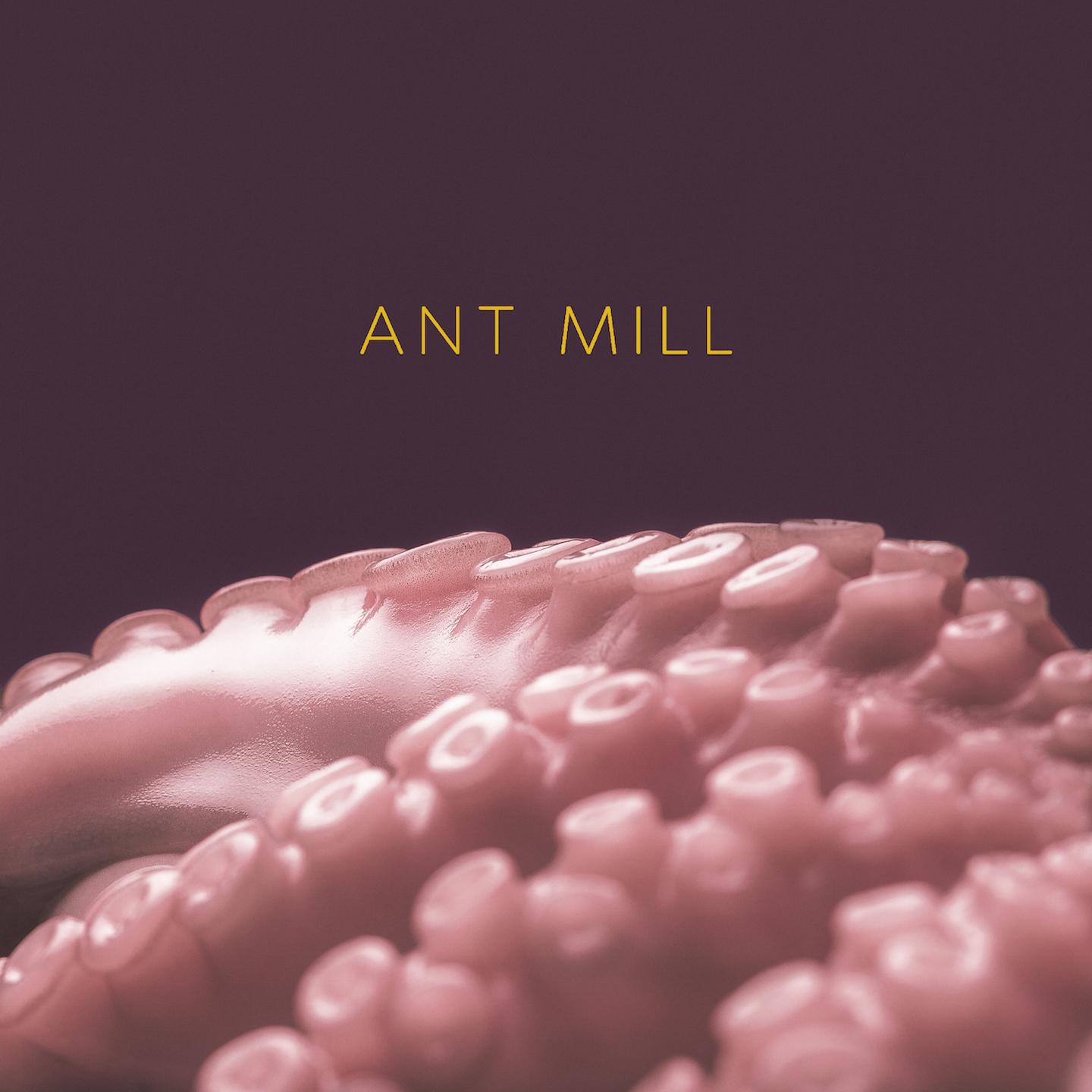 Постер альбома Ant Mill