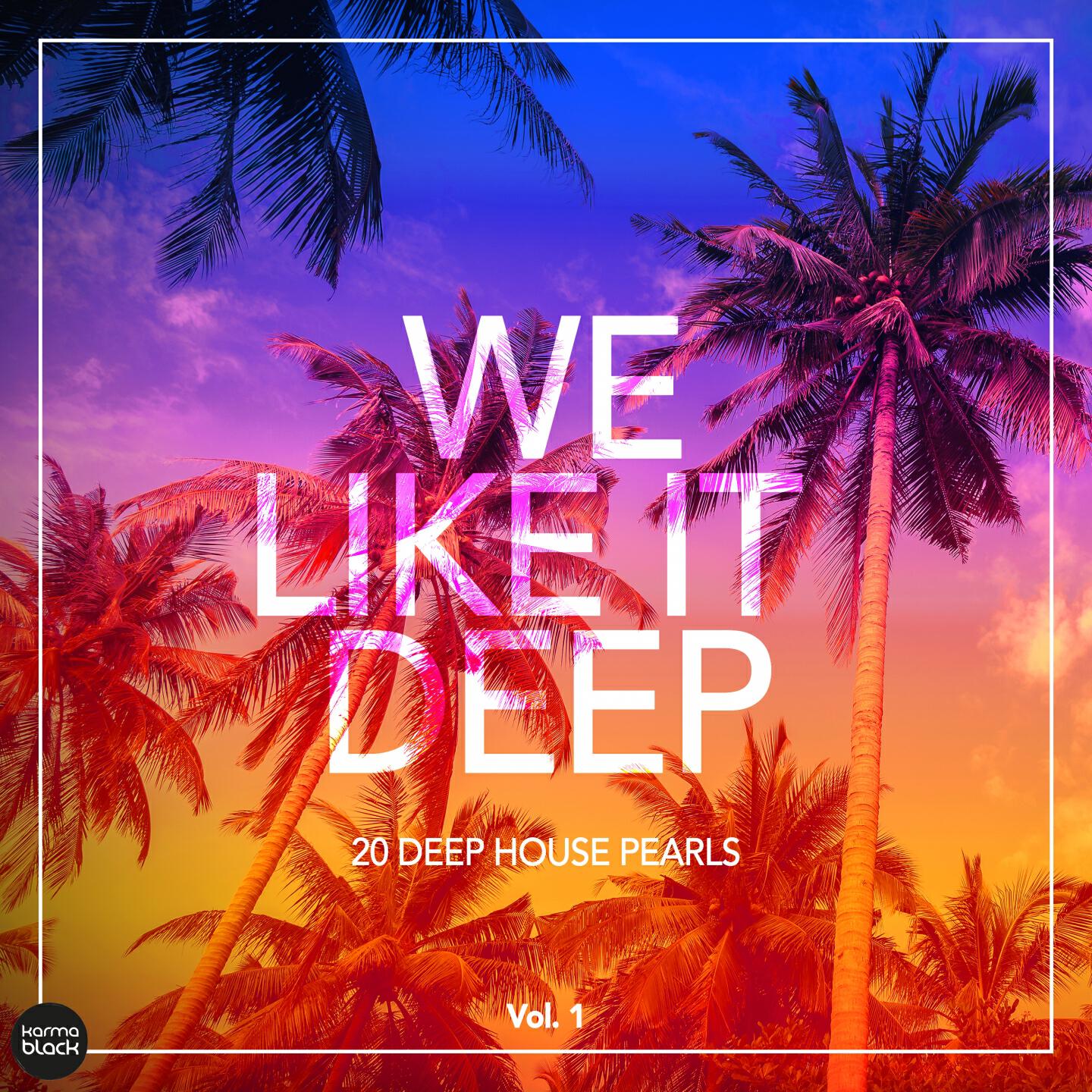 Phable - Not Again (Neal Porter & Dennis Booka Remix)
