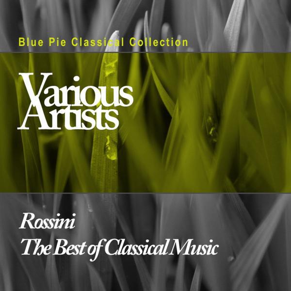 Armonie Chamber Orchestra - La Gazza
