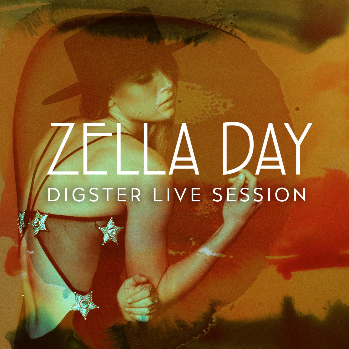Постер альбома Digster Live Session
