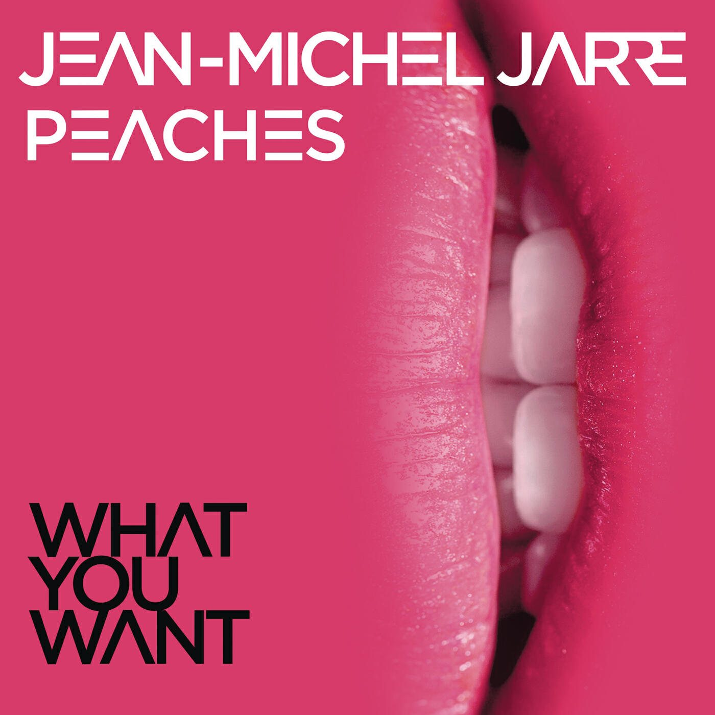 Jean Michel Jarre, Peaches - What You Want ноты