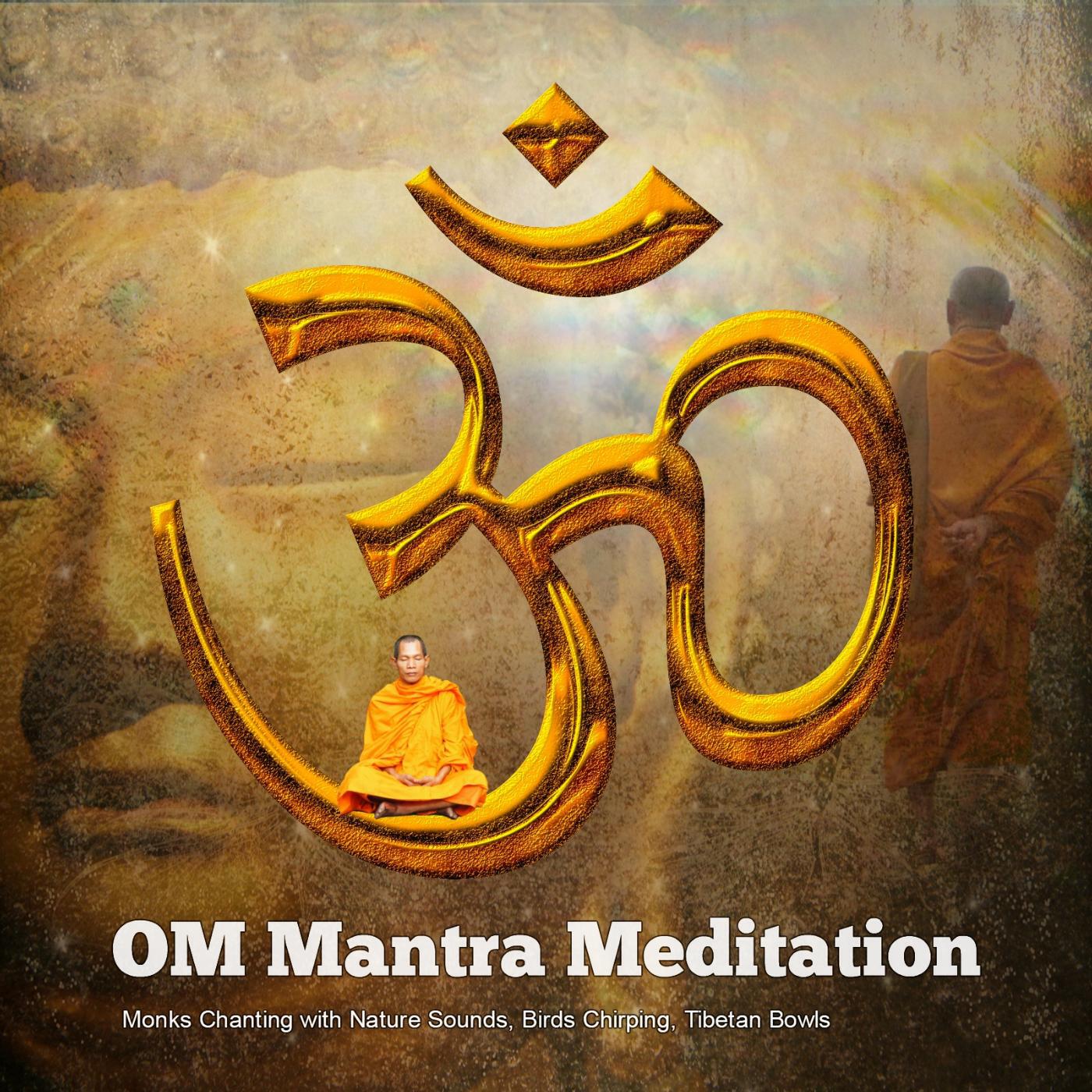 Постер альбома Om Mantra Meditation