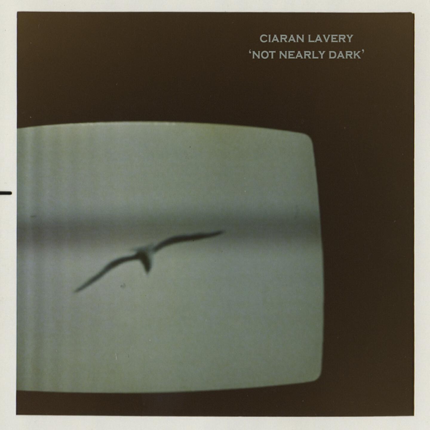 Ciaran Lavery - Lovers Who Make Love