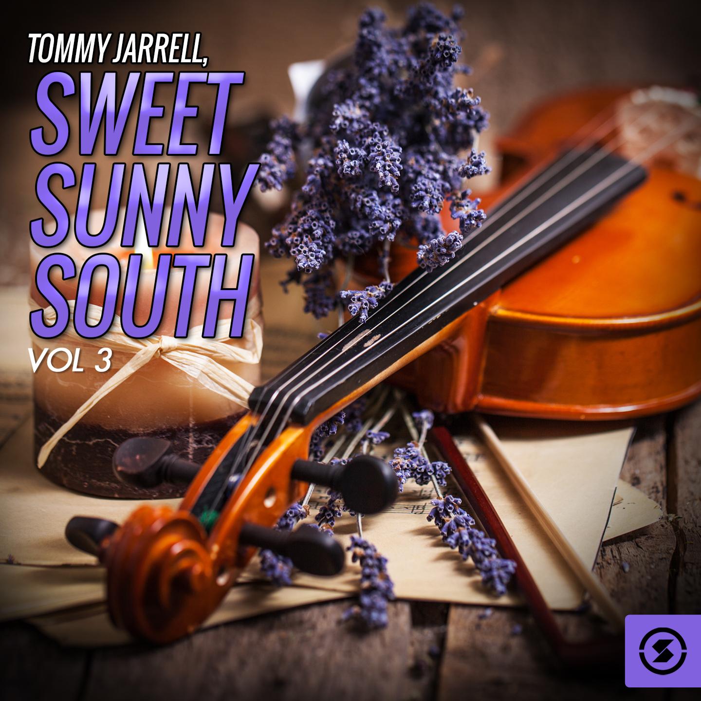 Постер альбома Sweet Sunny South, Vol. 3