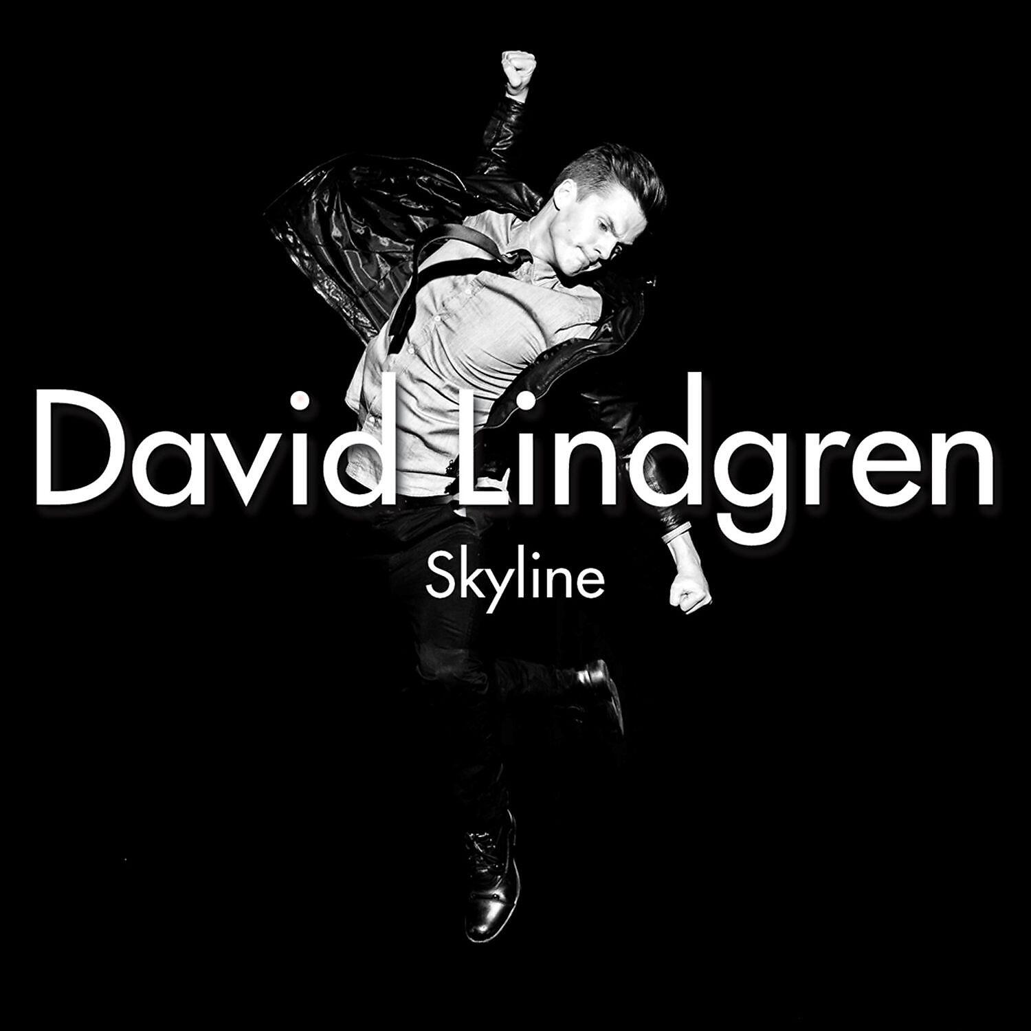 David Lindgren - Skyline (Peet Syntax & Alexie Divello Radio Edit)