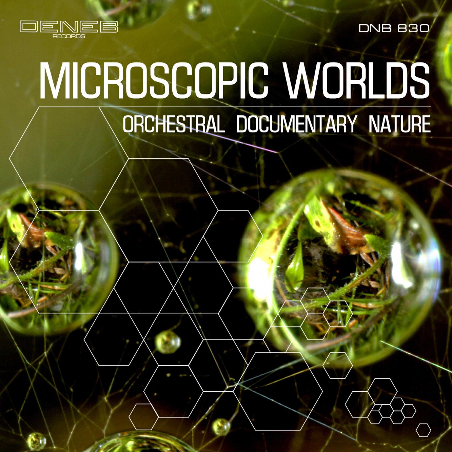 Fabrizio Pigliucci - Anthill