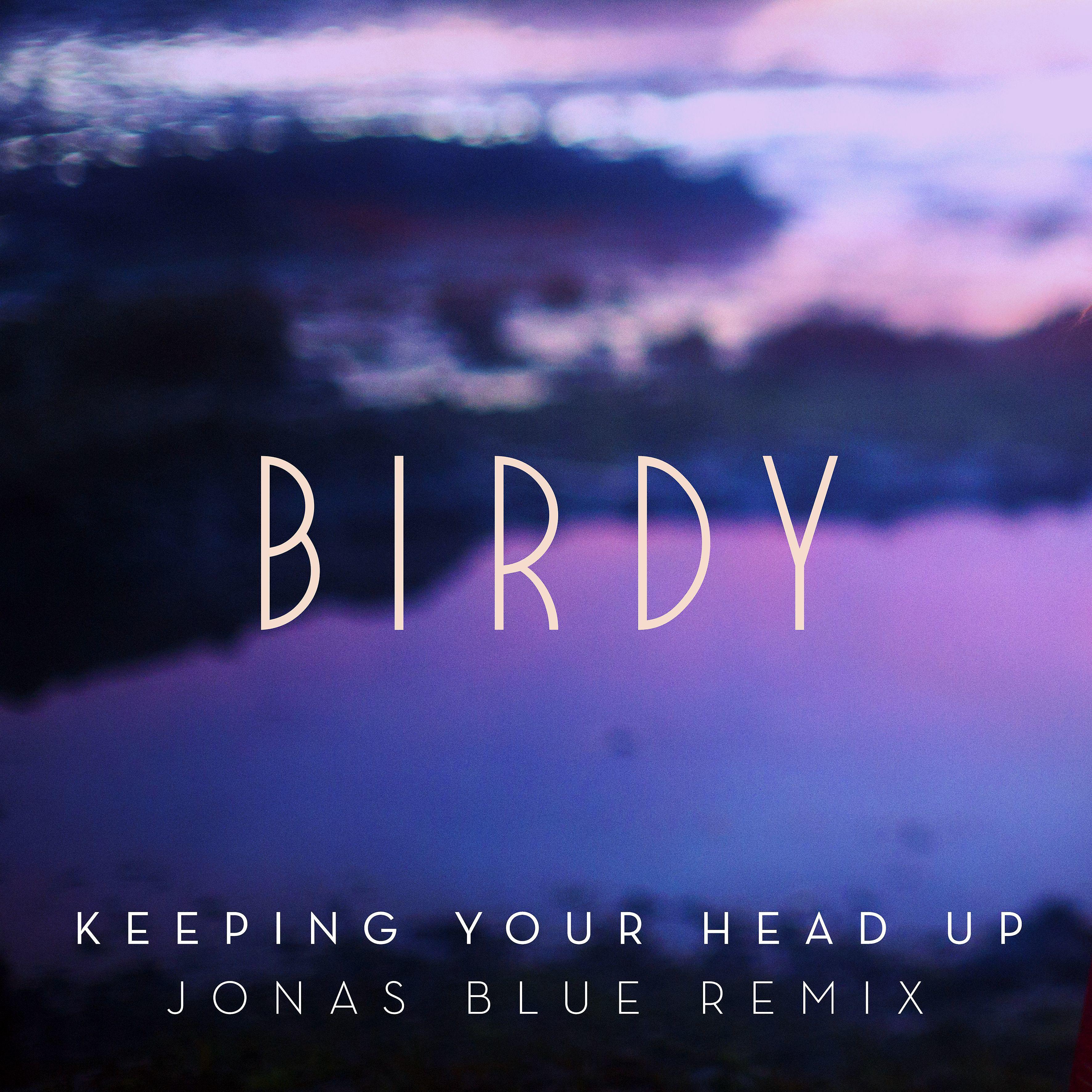 Постер альбома Keeping Your Head Up (Jonas Blue Remix) [Radio Edit]