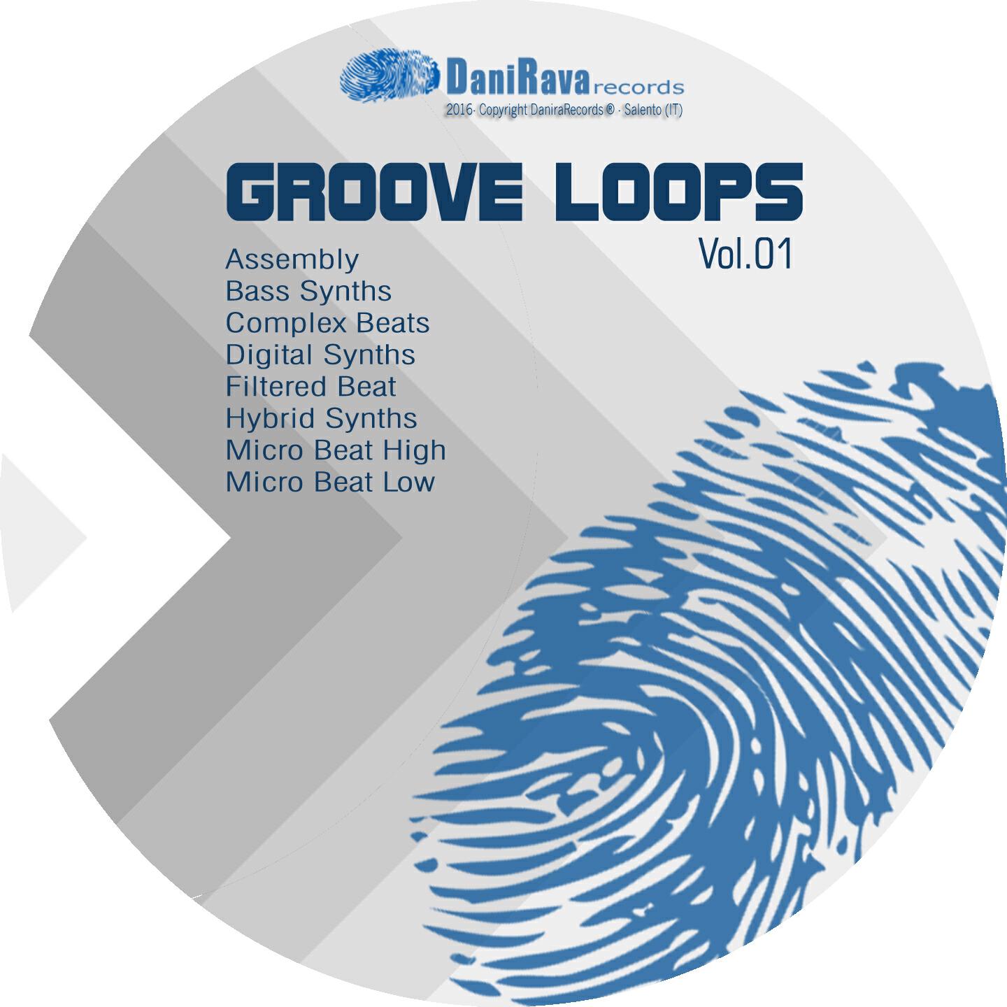 Danirava Records Groove Loops Vol. 01 - Modular Beats (Wave 16BIT)