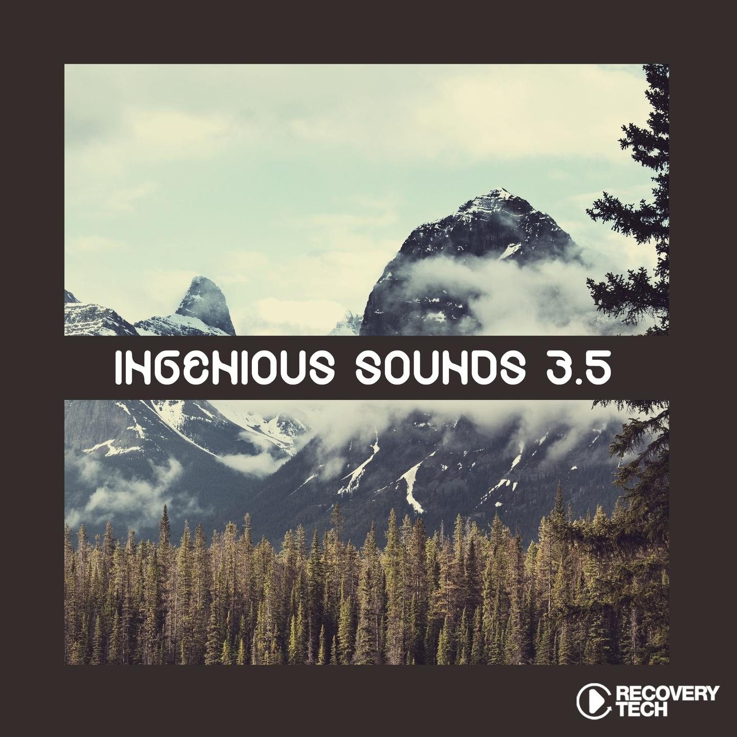 Постер альбома Ingenious Sounds Vol. 3.5