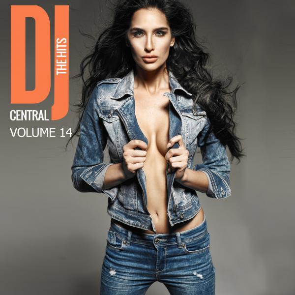Постер альбома DJ Central - The Hits, Vol. 14