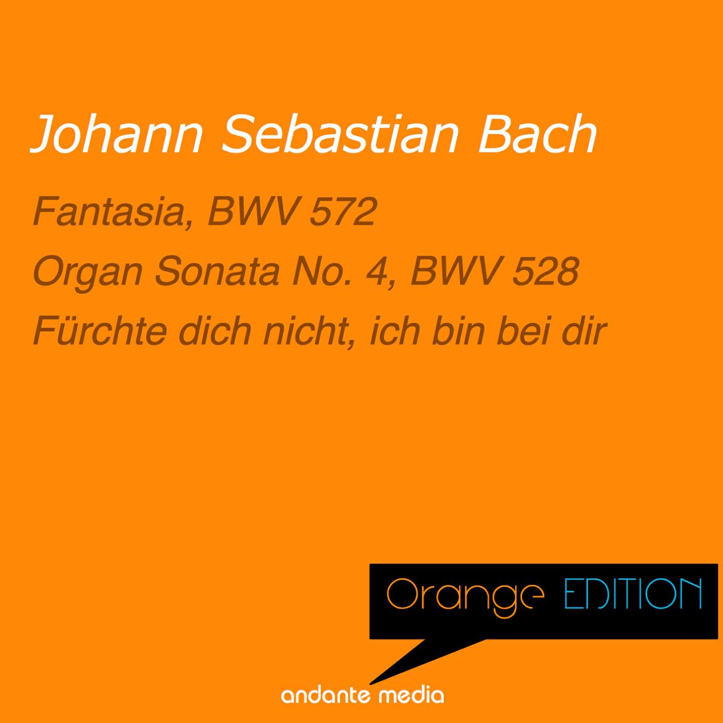 Bachorchester Pforzheim - Fürchte dich nicht, ich bin bei dir, BWV 228