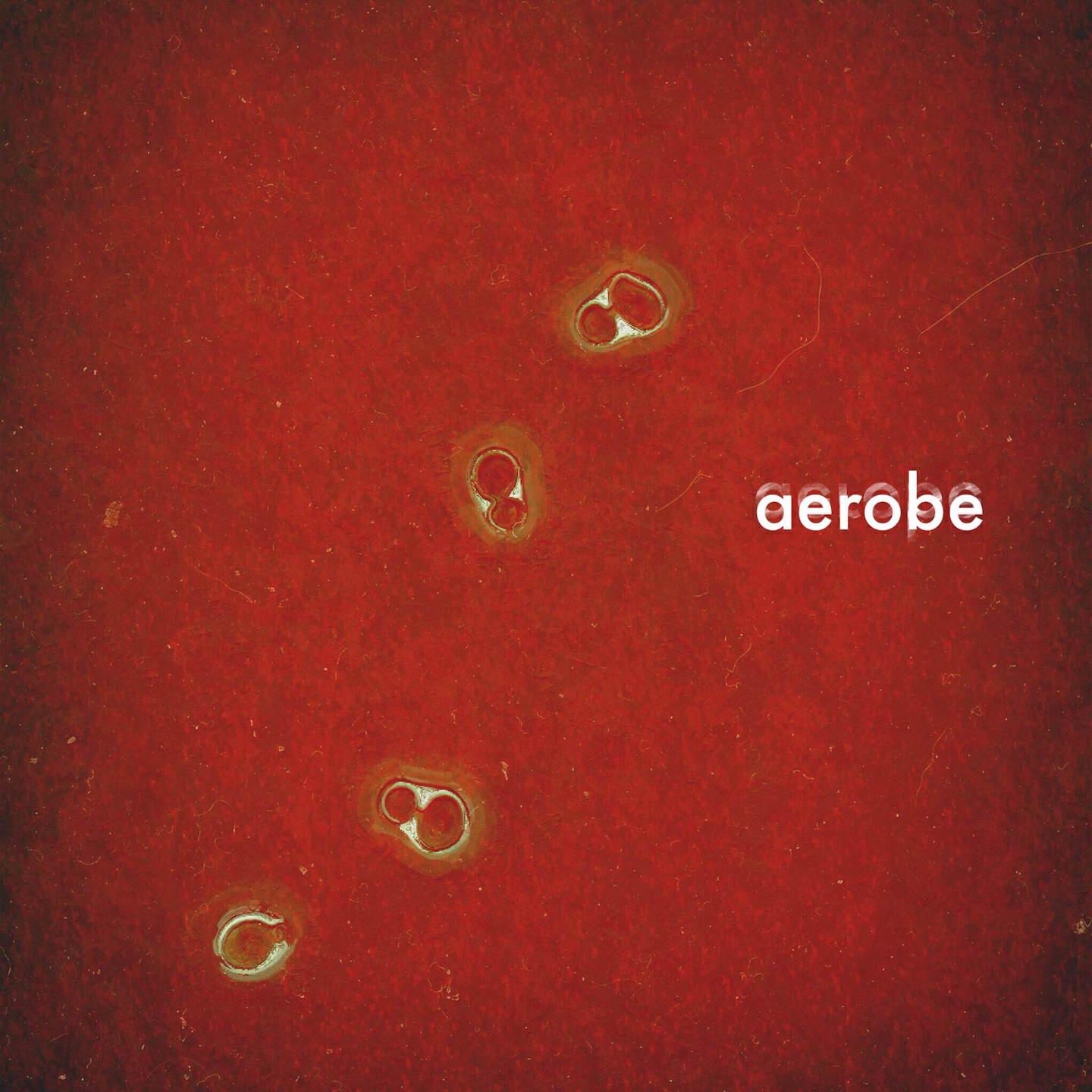 Aerobe - After Dinner Cordial