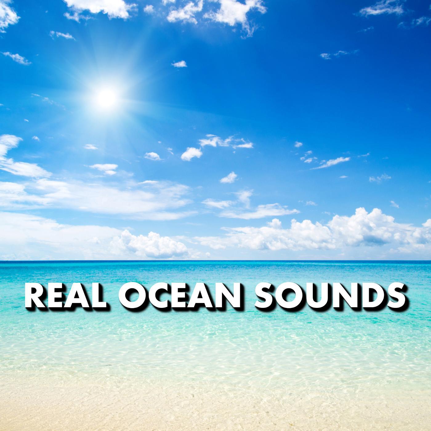 Deep Sleep - Calming Bayside Beach Sounds