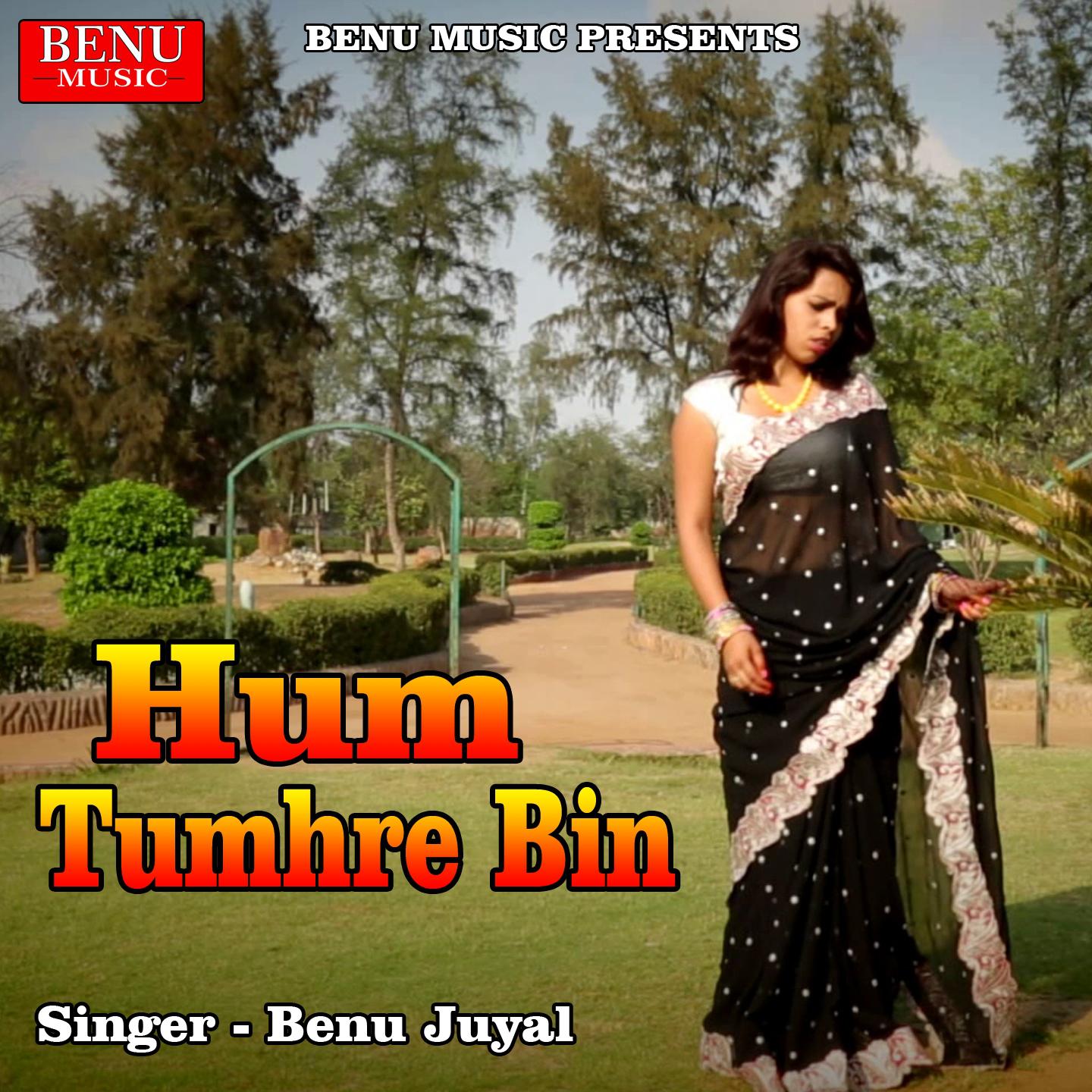 Постер альбома Hum Tumhre Bin