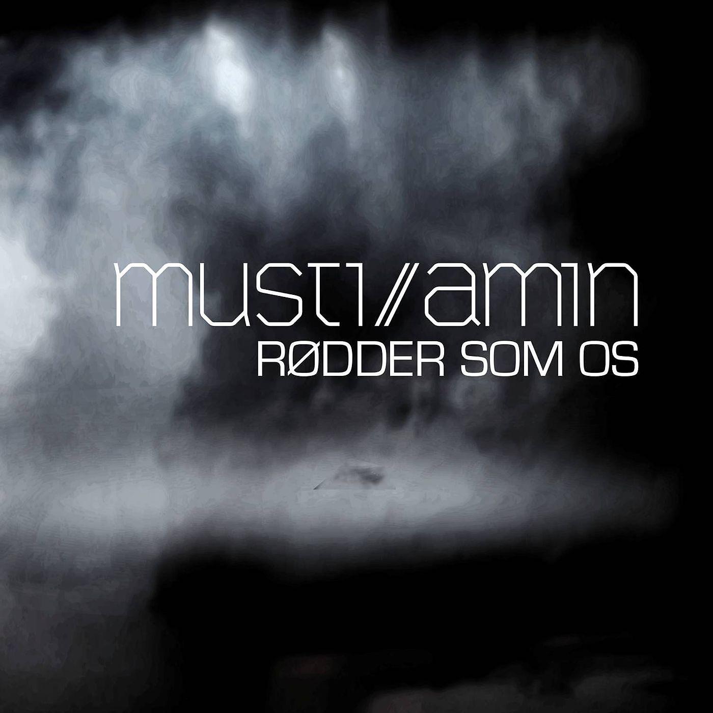 Постер альбома Rødder Som Os