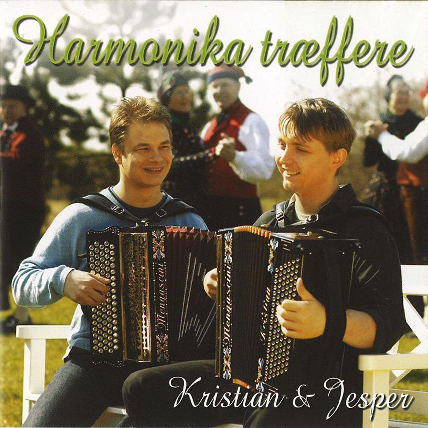 Постер альбома Harmonika Træffere