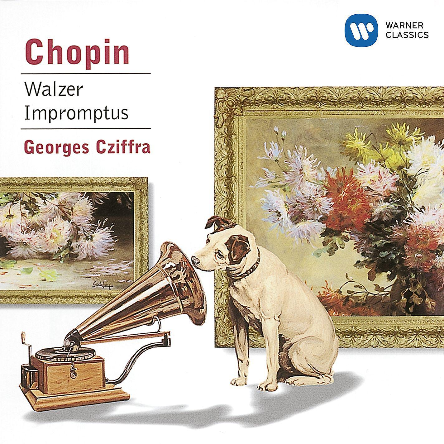 Постер альбома Chopin: Walzer & Impromptus