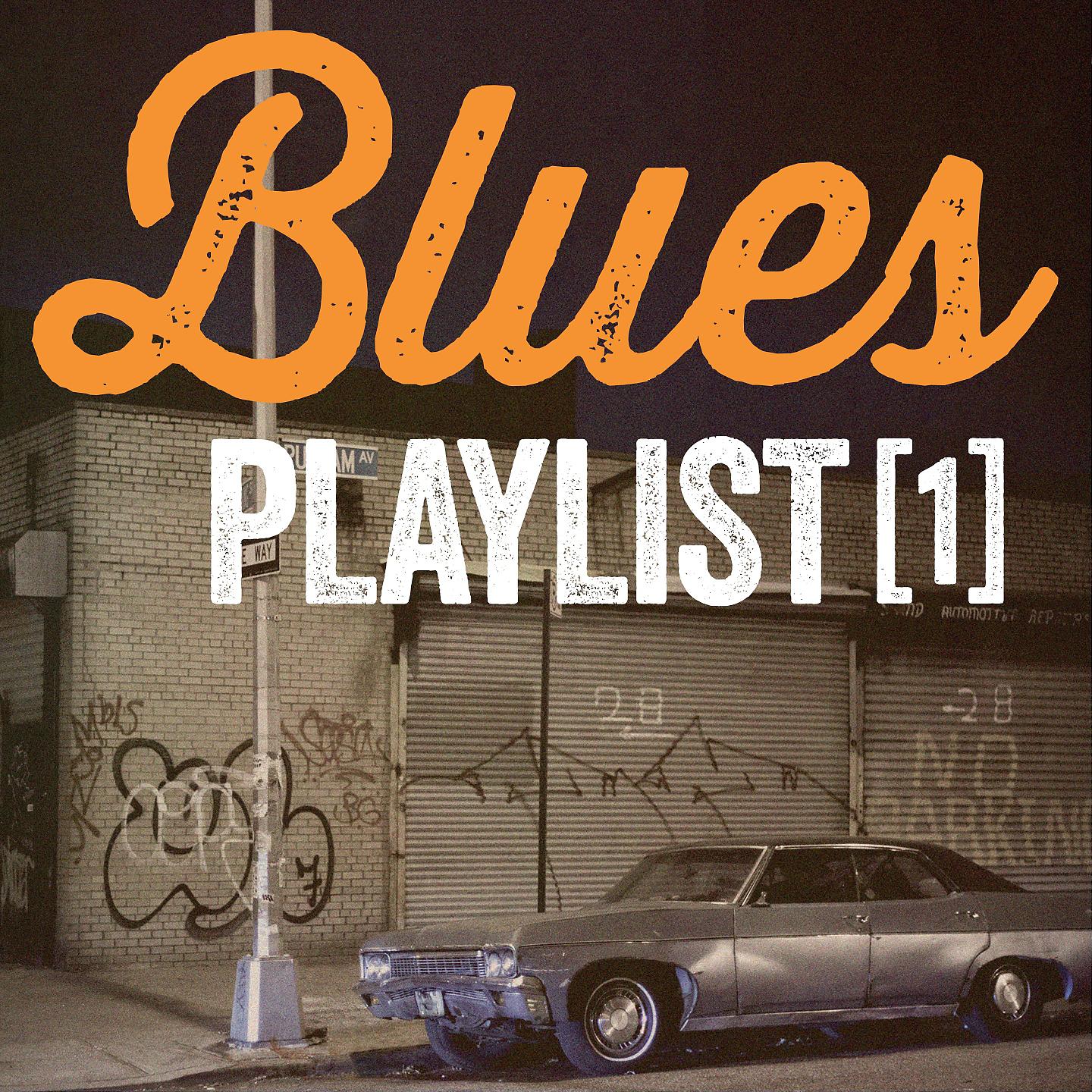 Постер альбома Blues Playlist, Vol. 1