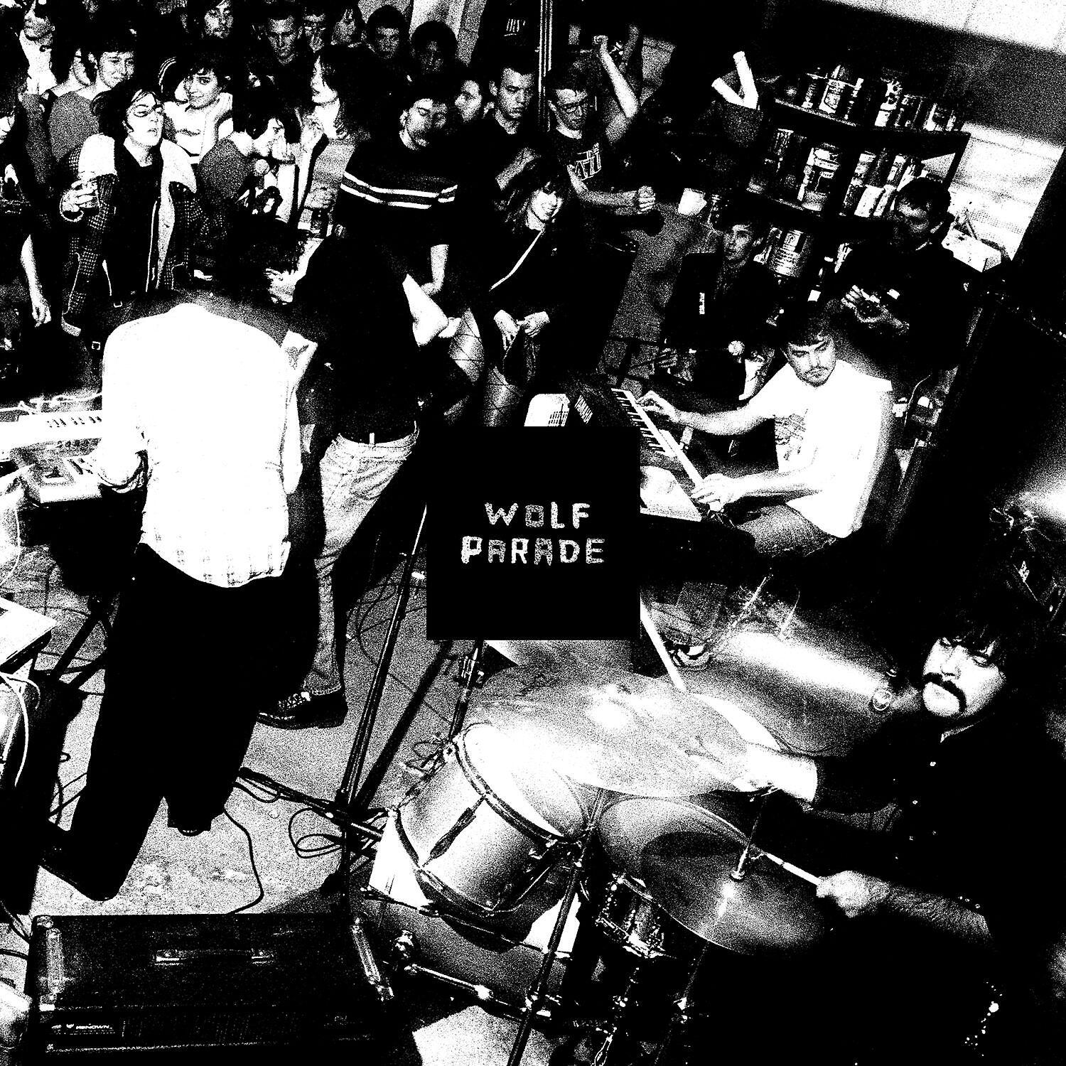 Wolf Parade - Snakes on a Ladder