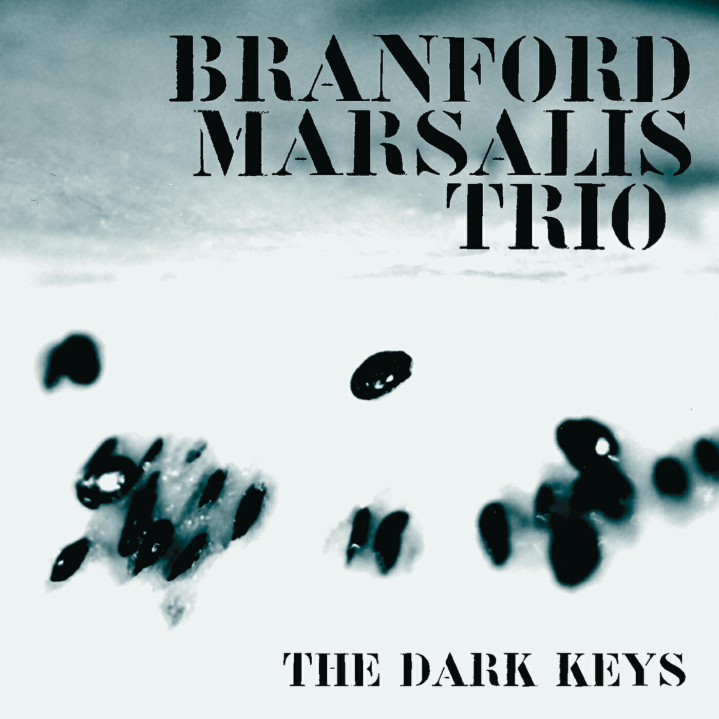Branford Marsalis - Schott Happens (Album Version)