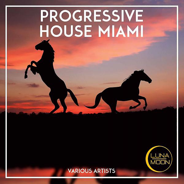 Постер альбома Progressive House Miami