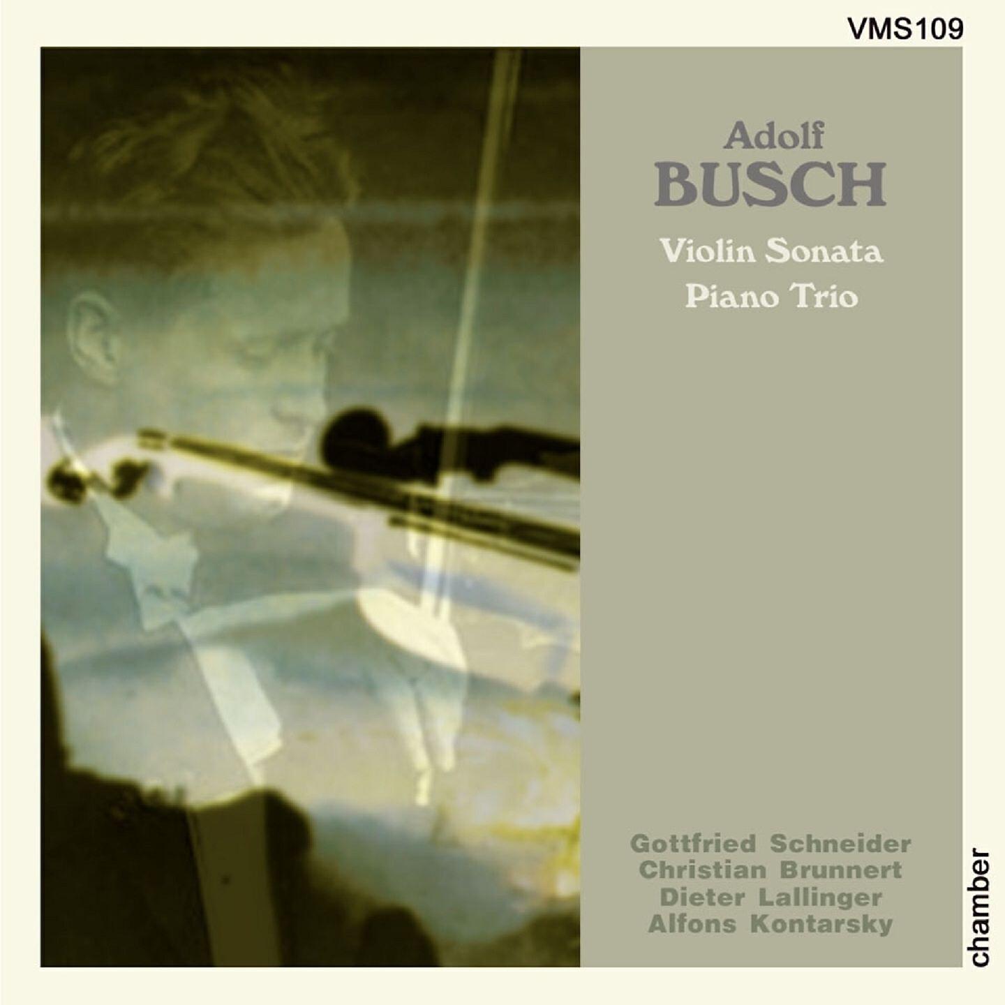 Gottfried Schneider - Violin Sonata in A Minor, Op. 56: II. Adagio ed espressivo