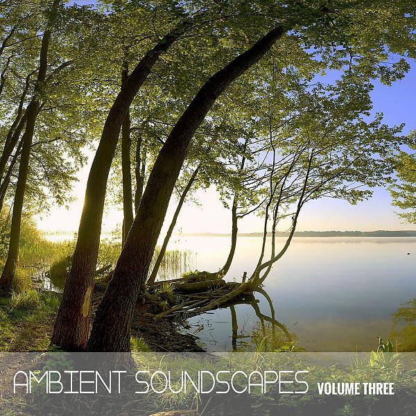 Постер альбома Ambient SoundScapes, Vol. 3