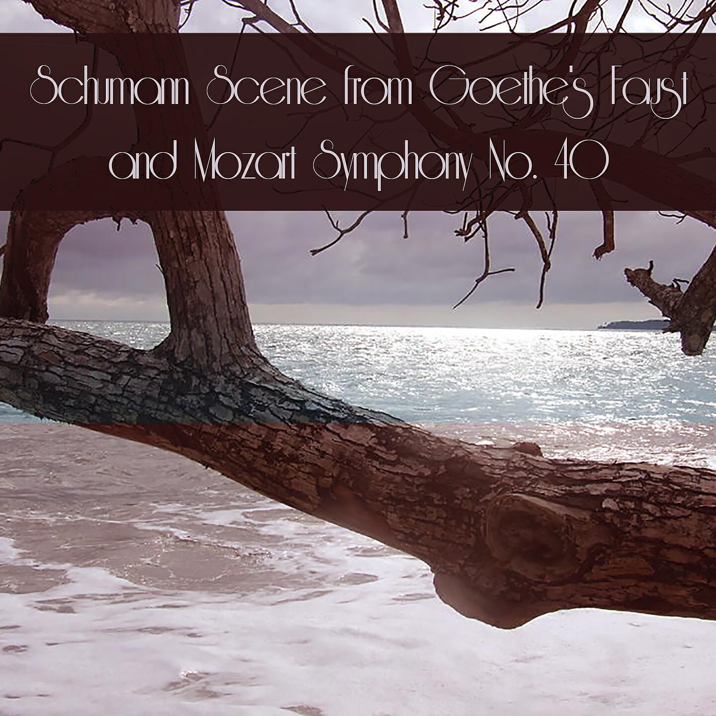 English Chamber Orchestra - Scenes from Goethe's Faust, WoO 3: I. Midnight: Ich Heibe der Mangel