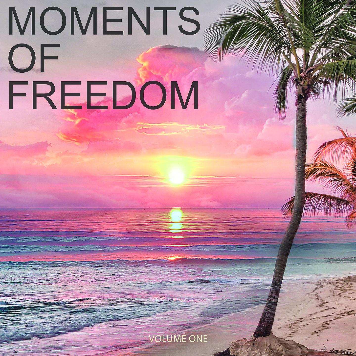 Постер альбома Moments Of Freedom, Vol. 1