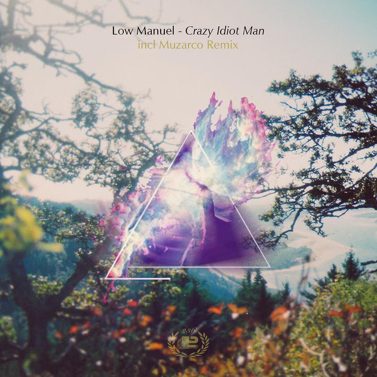 Low Manuel - Crazy Idiot Man (Muzarco Remix)