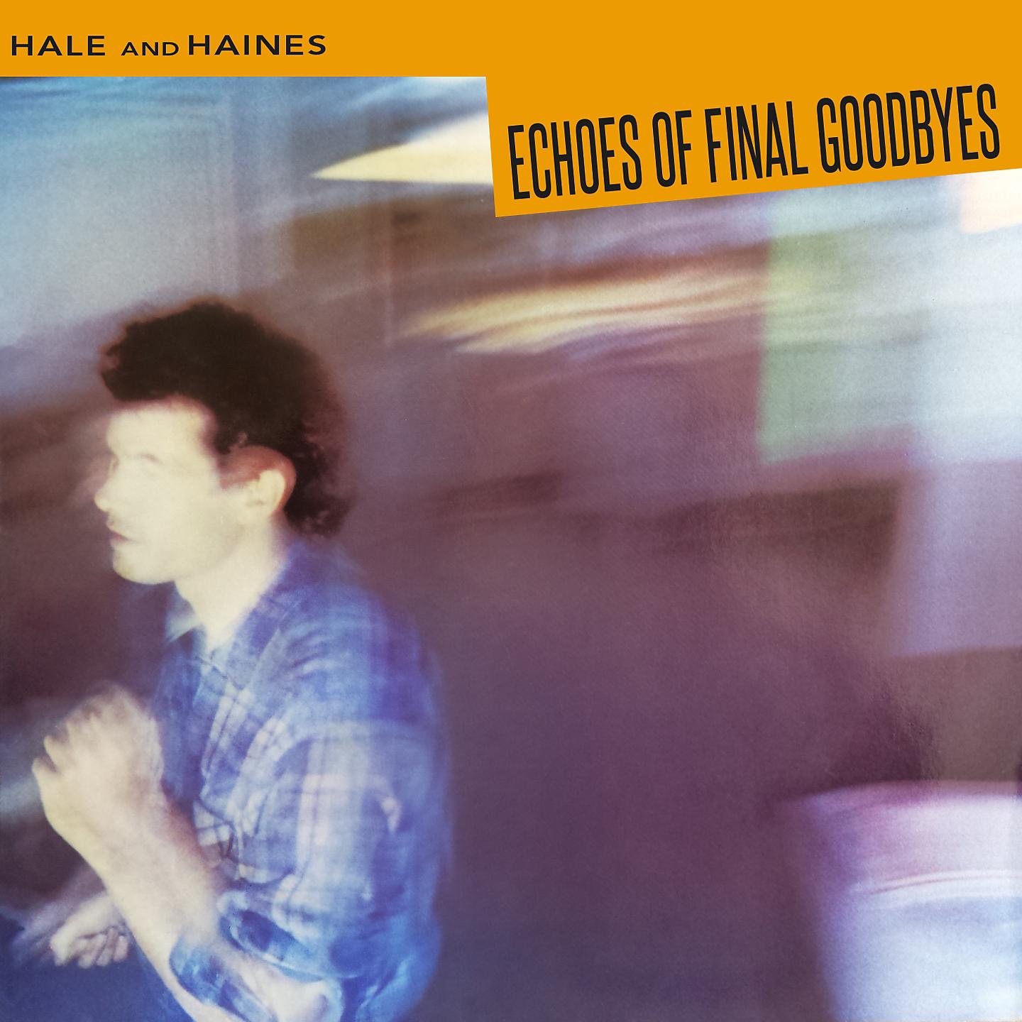 Постер альбома Echoes of Final Goodbyes