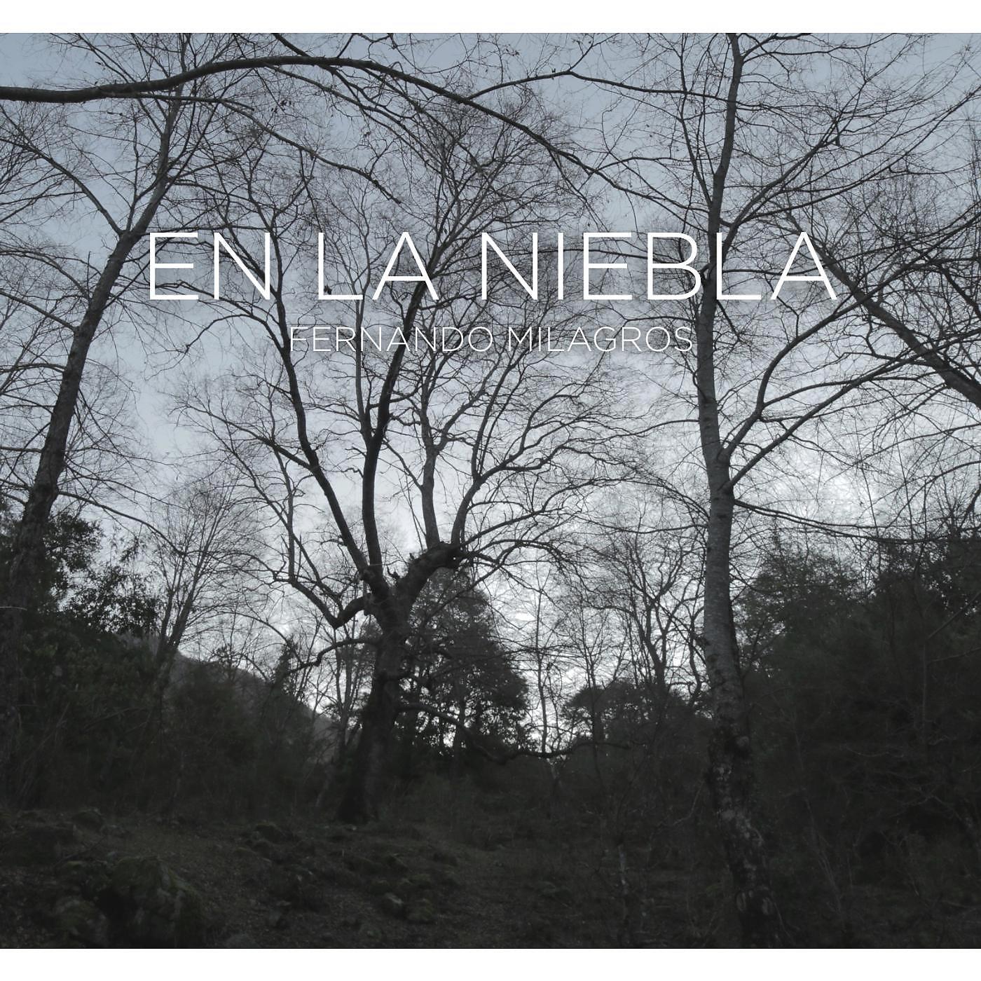 Постер альбома En la Niebla
