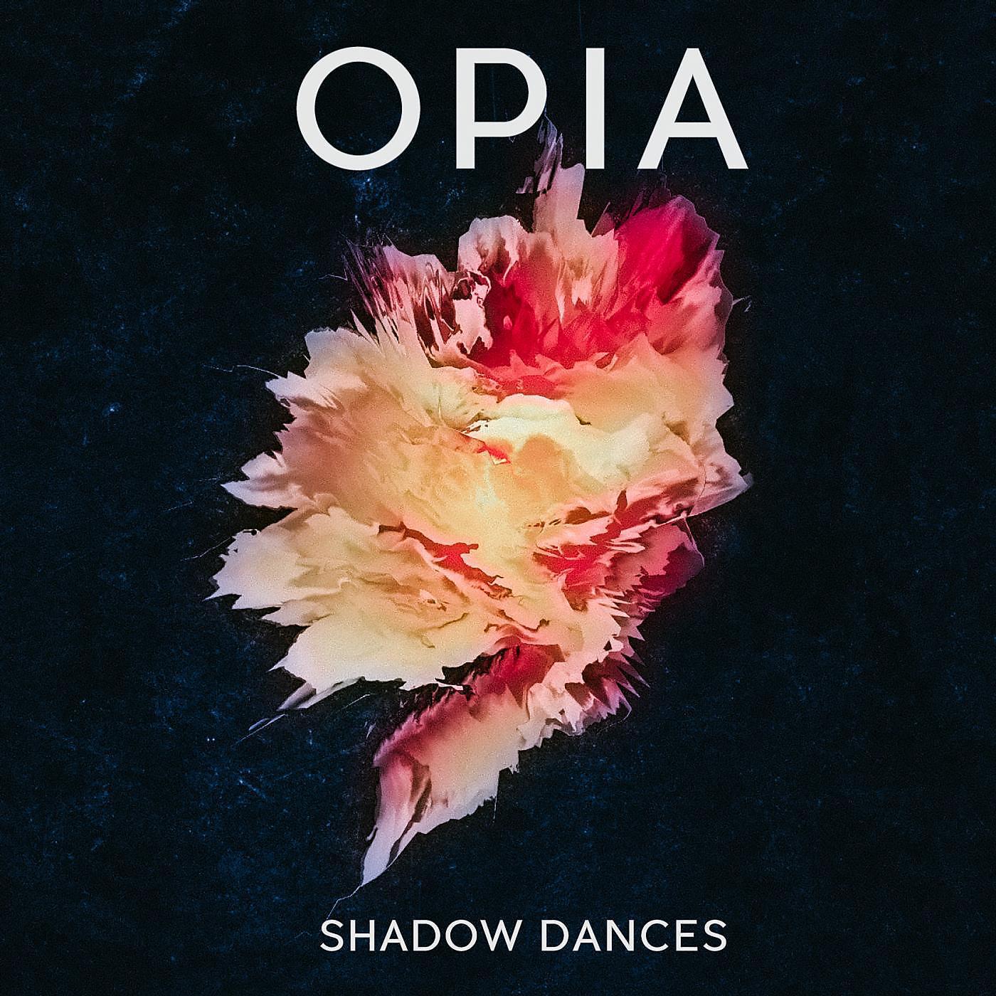Постер альбома Shadow Dances