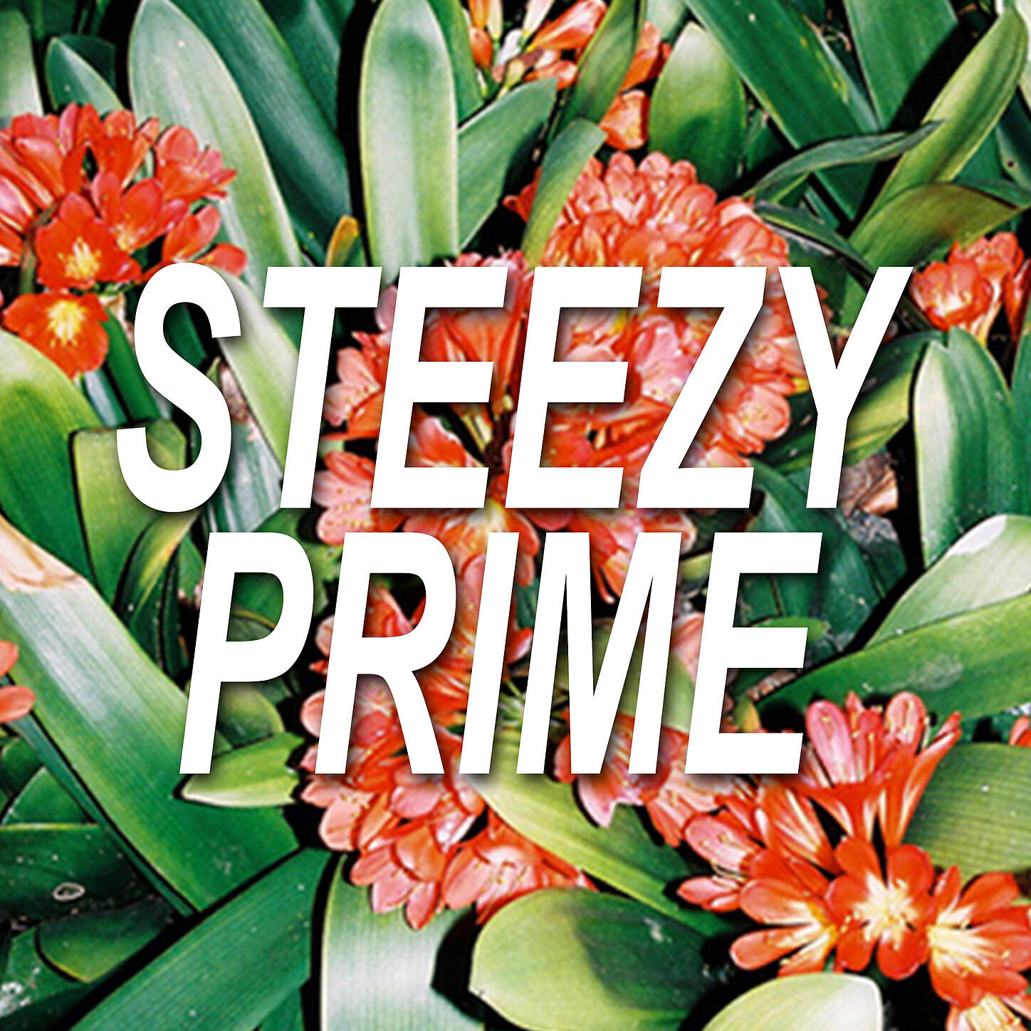 Steezy Prime - Delta