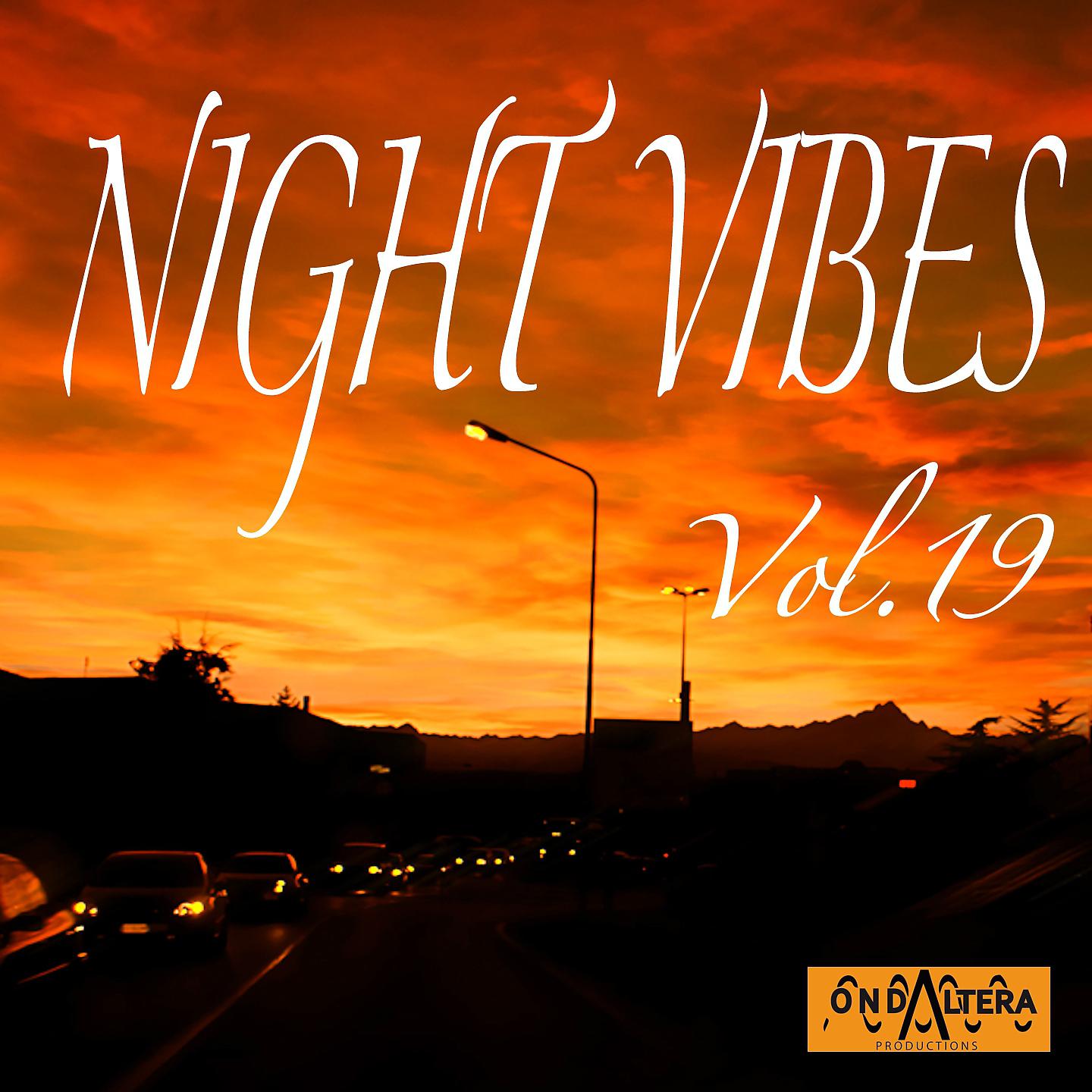 Постер альбома Night Vibes, Vol. 19