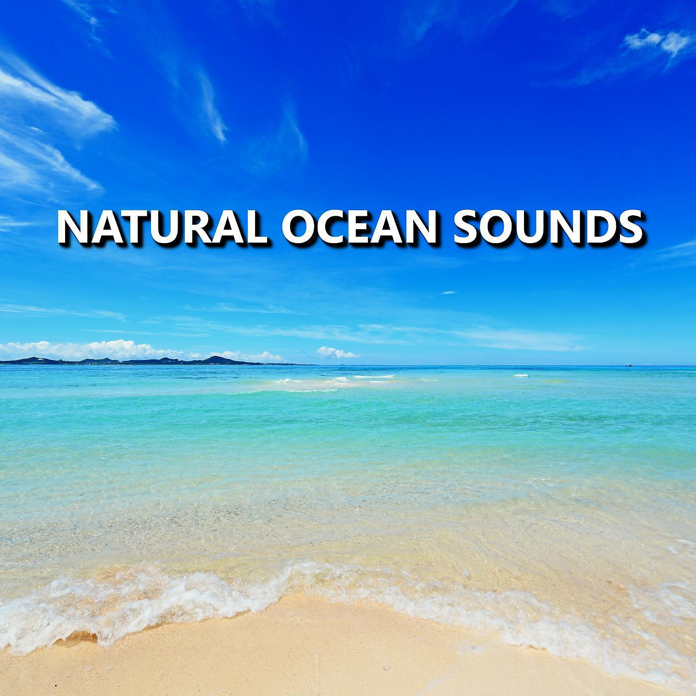 Ocean Sounds - Flawless Coastal Ocean Sounds