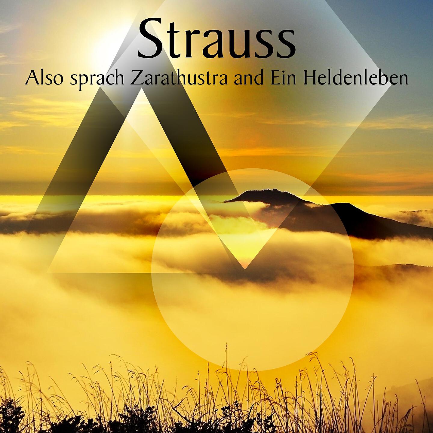 Chicago Symphony Orchestra - Also Sprach Zarathustra, Op. 30: II. Of the people of the unseen world