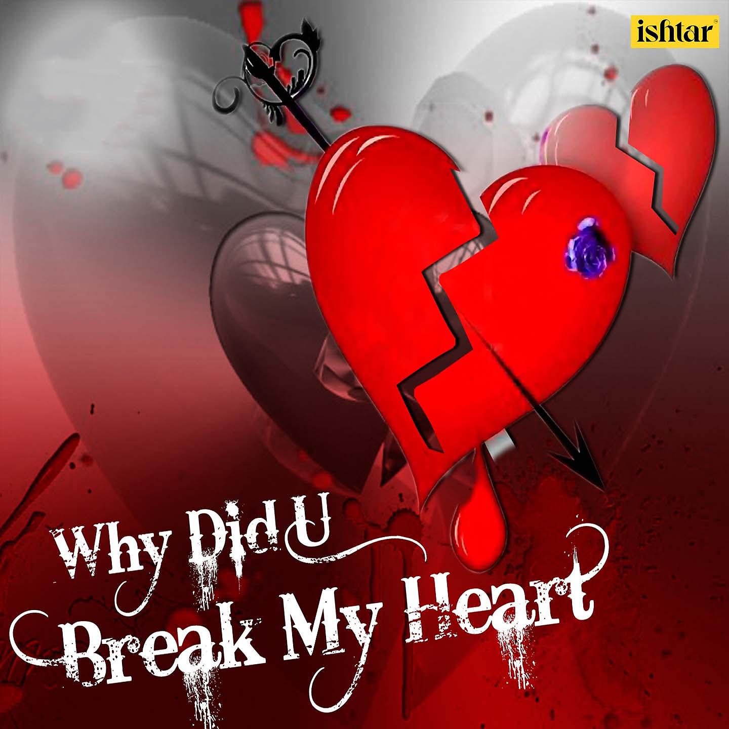 Постер альбома Why Did U Break My Heart