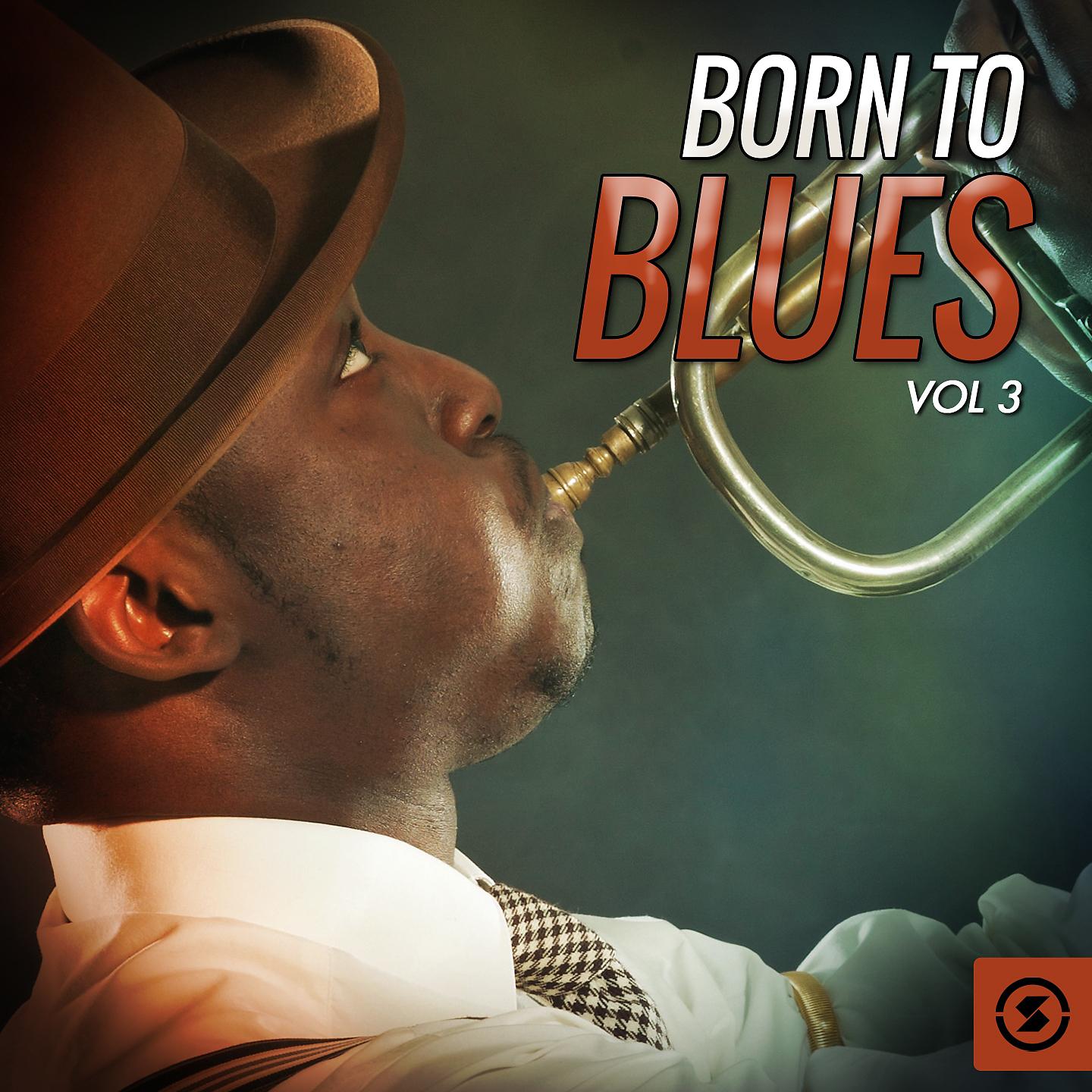 Постер альбома Born to Blues, Vol. 3